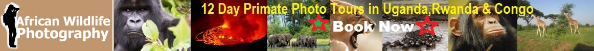 safari in kenya best time to go