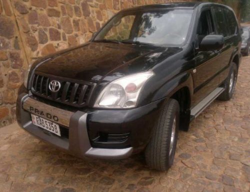 Why choose 4×4 Car Hire Rwanda for Self Drive in Rwanda