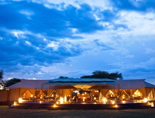 Singita: Private Luxury Lodges in East Africa