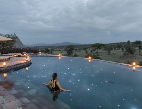 Luxury Honeymoon Photographic Safari in East Africa